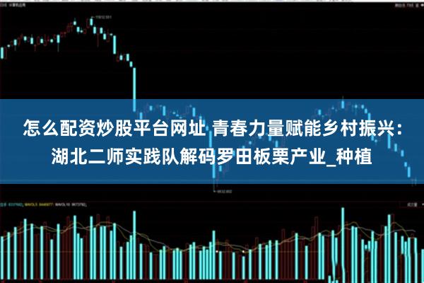 怎么配资炒股平台网址 青春力量赋能乡村振兴：湖北二师实践队解码罗田板栗产业_种植
