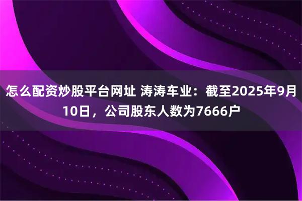 怎么配资炒股平台网址 涛涛车业：截至2025年9月10日，公司股东人数为7666户
