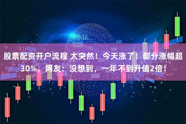 股票配资开户流程 太突然！今天涨了！部分涨幅超30%，网友：没想到，一年不到升值2倍！